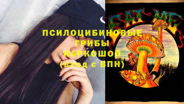 крисы Алексеевка