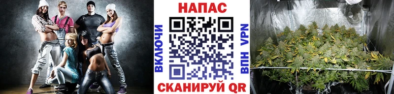 Марихуана индика  сайты даркнета наркотические препараты  Болохово  цена   кракен tor 