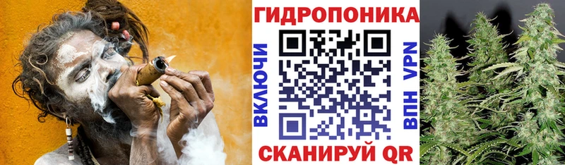 Бошки Шишки тримм Болохово